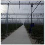 images/Lacna/1.jpg
